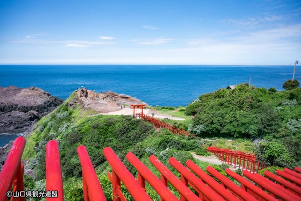 <山口>おいでませ山口へ バスで行く西の京 2日間【明石出発】3